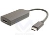 NEKLAN Adaptateur USB3,1 type C mâle vers Display Port 1,2 femelle - 0 2m