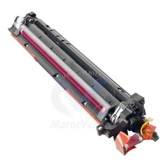 Unité de développement magenta DV311M