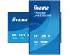 Moniteur Professionnel pour L'affichage Dynamique 65 Pouces 4K UHD 24/7 LH6575UHS-B2AG