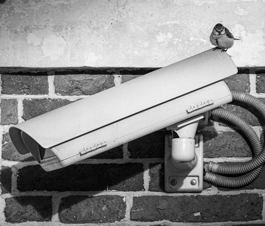 Caméras Analogiques